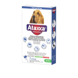 Ataxxa 2000/ 400 mg 25-40kg 1 pipeta