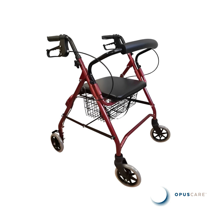 ANDARILHO STANDARD COM RODAS A060
