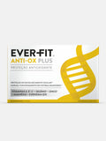 EVER-FIT PLUS CAIXA 90 COMPRIMIDOS